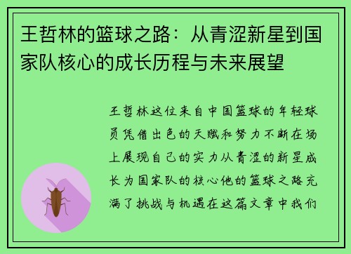 王哲林的篮球之路：从青涩新星到国家队核心的成长历程与未来展望