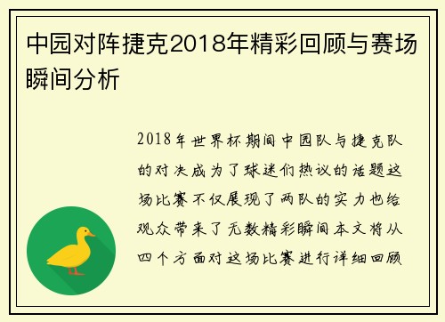 中园对阵捷克2018年精彩回顾与赛场瞬间分析